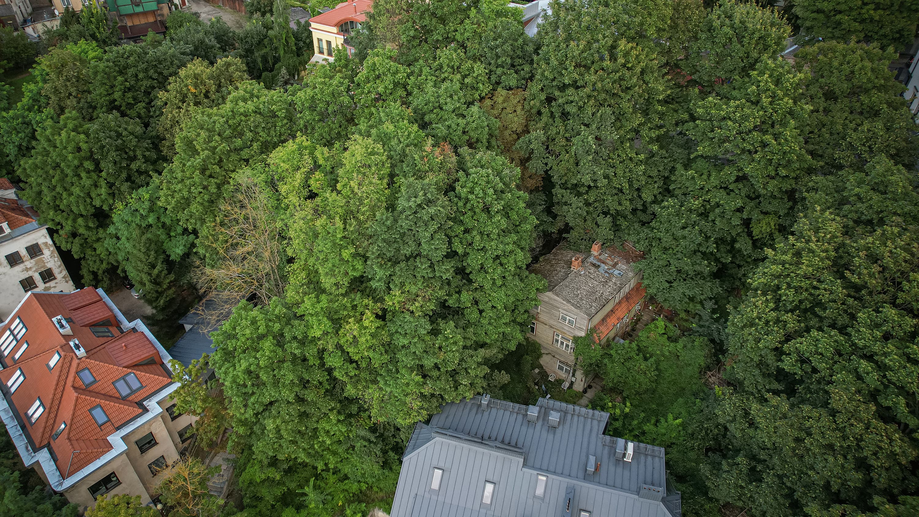 Parduodama namo dalis Žemaičių g. 14A, Žaliakalnyje, Kaune — nuotrauka 4